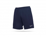 Kids' Nike Dri-FIT Academy Shorts